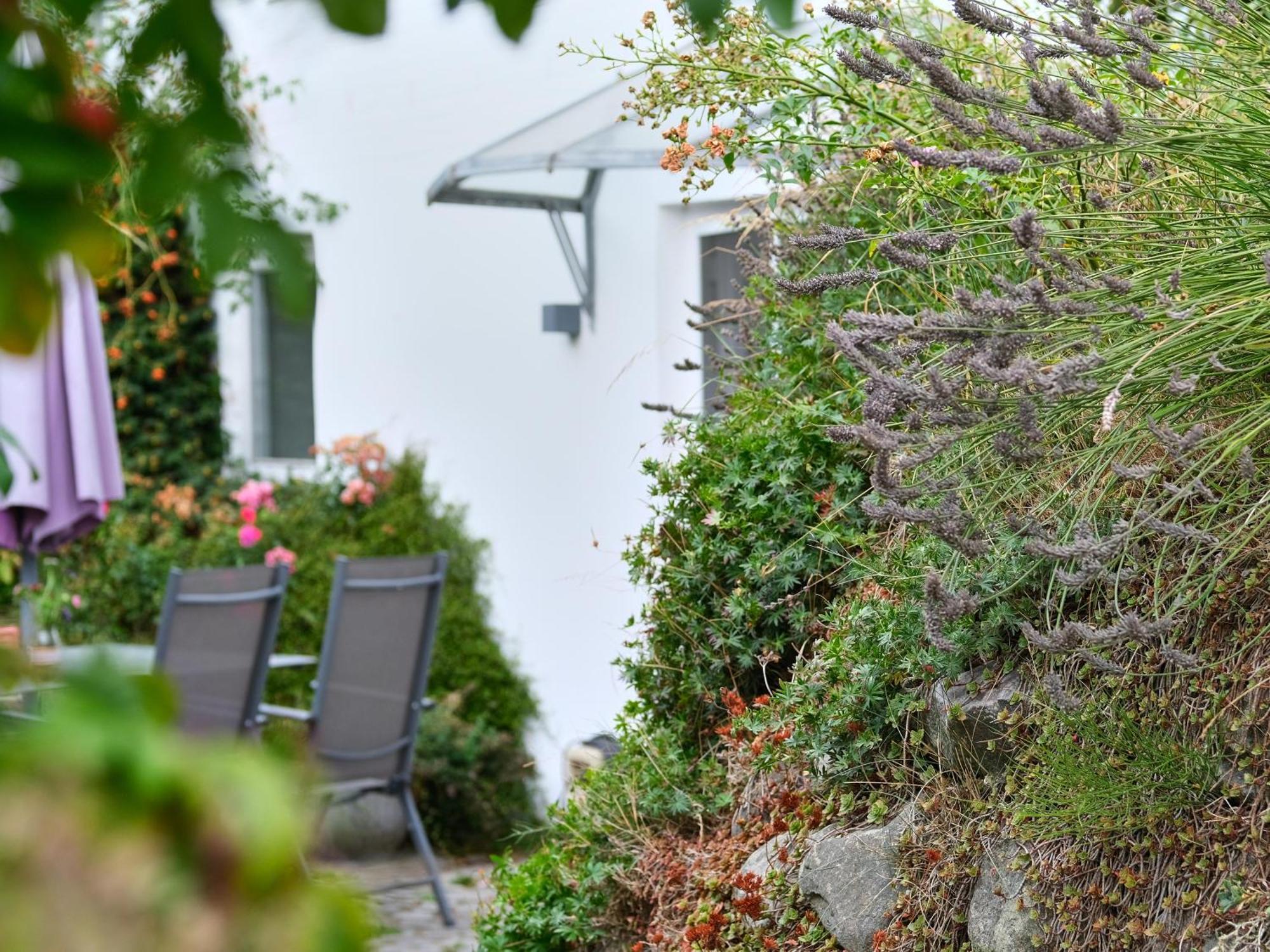 Ruhetal -Ferienwohnung Mit Sonnenterasse Glücksburg Exteriör bild